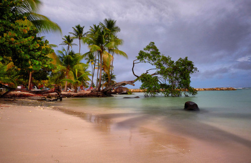 by 7Krys on Flickr.Cream Sand Beach - Guadeloupe Islands, Caribbeans.