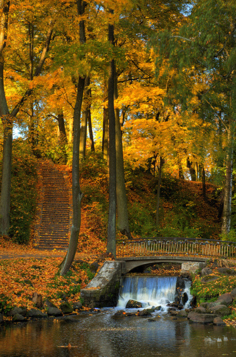 bluepueblo:  Waterfall Bridge, Woodstock, Vermont photo via mysticism 