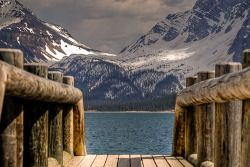 bluepueblo:  Bow Lake, Alberta, Canada photo