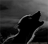 the north remembers.