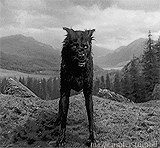 the north remembers.