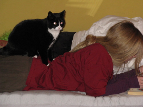 Cat sits on my butt occasionally.
