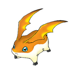  Patamon —> Pegasusmon, Angemon —>