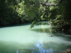 Unë nuk i japin një mallkim