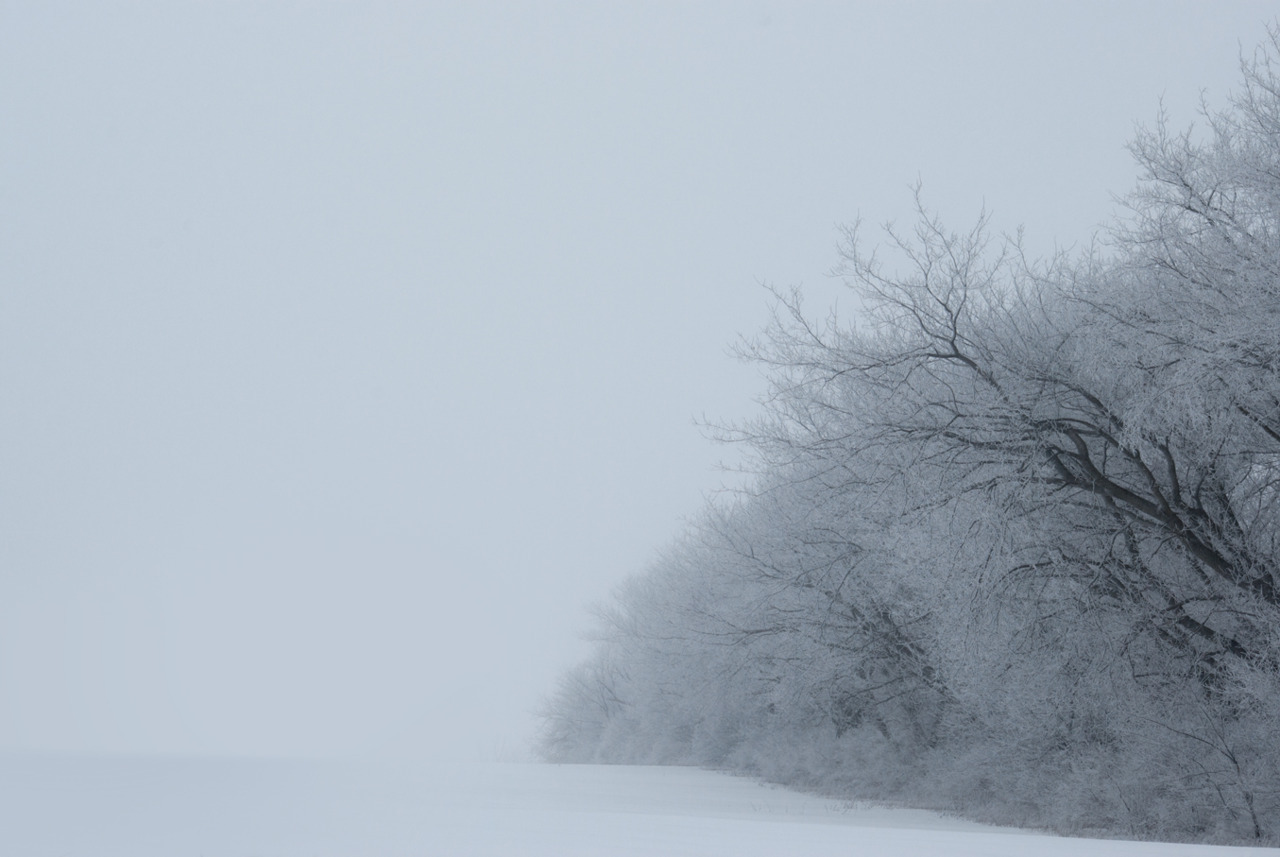 memoryradio:  the air in the sky, the clouds in the storm, the trees in the forest,