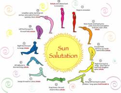 curvecreation:  Sun Salutation 