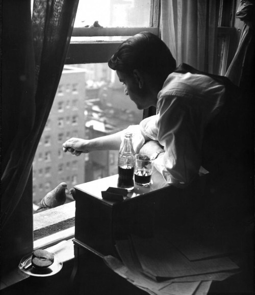  A young man feeding two pigeons at his window. Photograph by Nina Leen. New York City, 1949. 