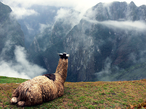 Porn photo -cityoflove:  Machu Picchu, Peru via epicxero