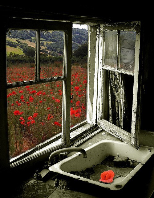 bluepueblo:  Face in the Window, Italy photo via besttravelphotos 