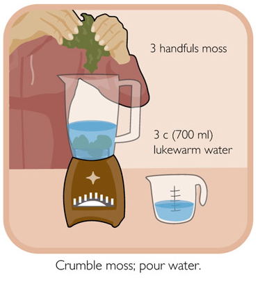 shanemichaelxvx:  A how-to on growing moss graffiti. This shit is awesome. 