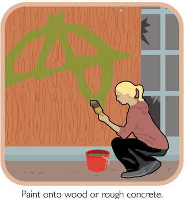 shanemichaelxvx:  A how-to on growing moss graffiti. This shit is awesome. 