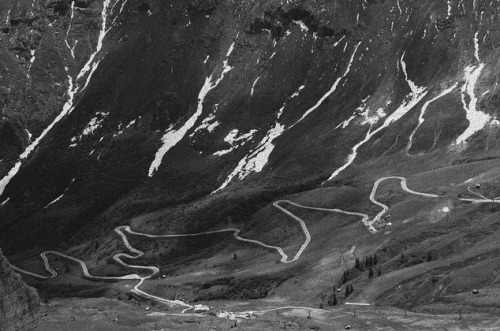 lamkatarina:  source 