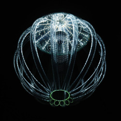 architizer:  Kateřina Smolíková‘s Skyphos 1 chandeliers 