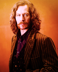 troublefindsme:  ∞ TOP10 FAVOURITE HARRY POTTER CHARACTERS. (in no order) ∞     Sirius Black -» Gary Oldman. 