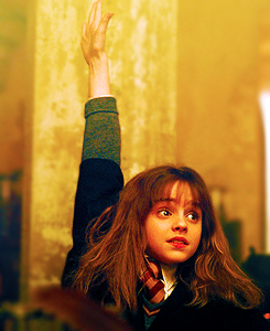 troublefindsme:  ∞ TOP10 FAVOURITE HARRY POTTER CHARACTERS. (in no order) ∞     Hermione Granger -» Emma Watson. 