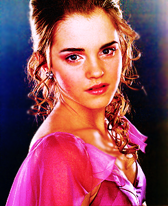 troublefindsme:  ∞ TOP10 FAVOURITE HARRY POTTER CHARACTERS. (in no order) ∞     Hermione Granger -» Emma Watson. 