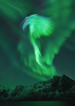 discoverynews:  Spectacular Aurorae Erupt Over Norway Over the weekend, the Earth’s magnetic field was struck by a coronal  mass ejection (CME). The CME — a vast bubble of solar plasma that had  erupted from the sun on Jan. 19 — took longer than