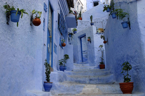 by tkrzakala on Flickr. The blue streets of Chefchaouen in northwest Morocco.