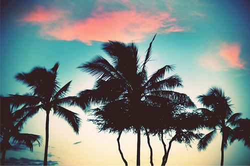 surferdude182:  Welcome to Maui:3 (by Brittney Borowski) 