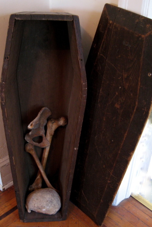 5handscuriosities:  Victorian Child’s Coffin Toe Pinch with 200 year old bones  