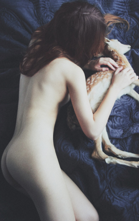  Fairy tale about a girl who didn’t have to be afraid of night anymore - for many years deers comes to her dreams and warm her body from the inside. (by laura makabresku) 