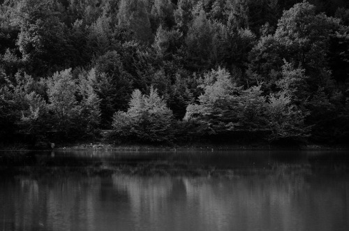 diacetyl-morphine.tumblr.com/post/16368619225/