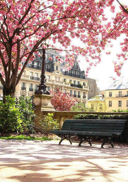 bluepueblo:  Springtime Park, Paris, France photo via robbikins 