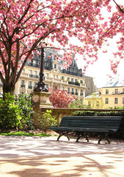 bluepueblo:  Springtime Park, Paris, France