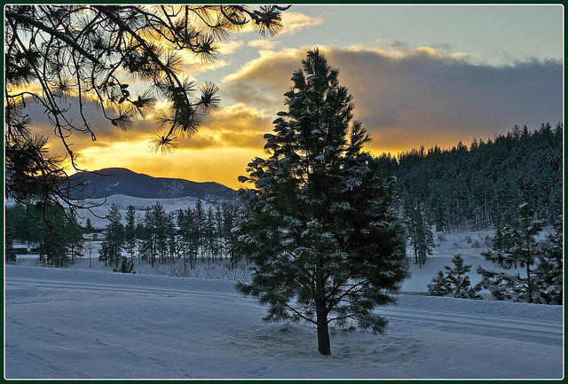crazy-redhead:  January sunrise 