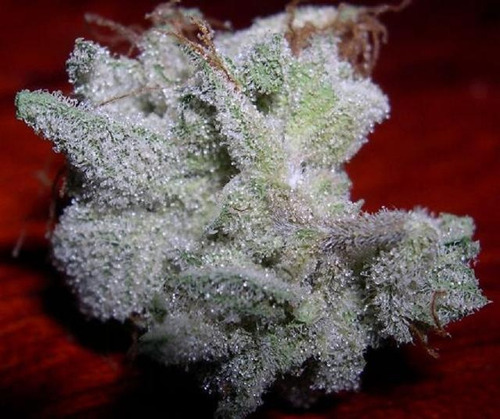 soyacide:  dem crystals. 