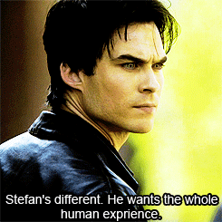 niansomerhalder:  Damon Salvatore &amp; Taylor Swift &amp; How I Met Your