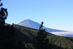 sweet-memory:  Mount Teide, Tenerife. 