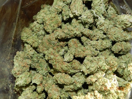 stonedprincezz