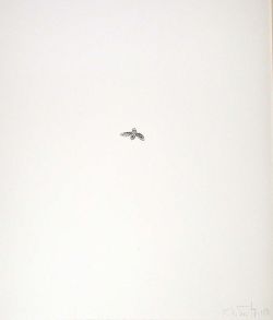 occult-symmetry:  Bee, Kiki Smith, Lithograph with glassine collage, 1998 