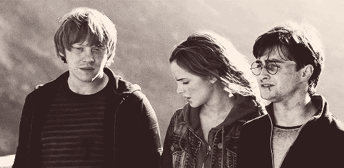 Toujours Pur;