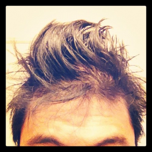 A Marvelous Bed Head (Taken with instagram)