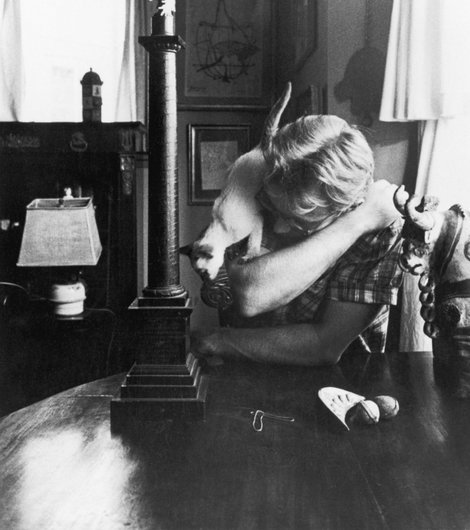 thelittlefreakazoidthatcould:  James Dean, Paul Newman, Steve McQueen and Marlon Brando with their cats. 