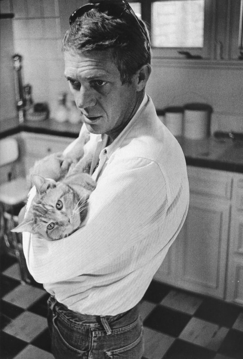 thelittlefreakazoidthatcould:  James Dean, Paul Newman, Steve McQueen and Marlon Brando with their cats. 
