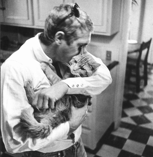 thelittlefreakazoidthatcould:  James Dean, Paul Newman, Steve McQueen and Marlon Brando with their cats. 