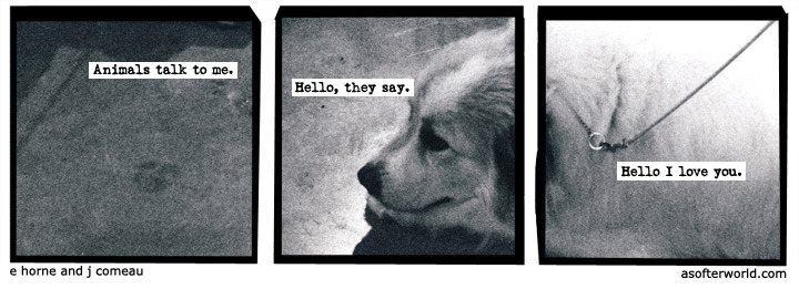softerworld:  A Softer World: 764 (Can we be friends? I would try to be a good friend.)