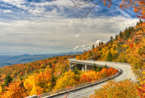 by eevy24012 on Flickr.Autumn colours at Linn Cove Viaduct - North Carolina, USA.