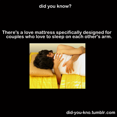 charmlessenthusiasm:  did-you-kno:   A solid unit makes up the middle portion of the bed, with several adjoining strips of foam connected at either end. Between these slats one can drop their shoulder or arm. Source  O.O 