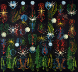 starzoo:  By Philip Taaffe. Official site. 