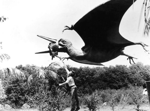Pterodactyl