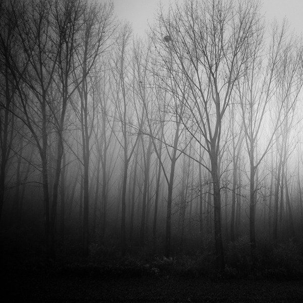 black-and-white:   BY: ZOLTAN BEKEFY (via Photography Served)  