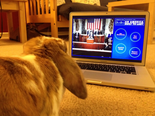 Simon watched the State Of The Union too.