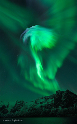 n-a-s-a:  January Aurora Over Norway  Image