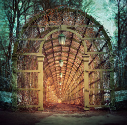 bluepueblo:  Arched Portal, Tallin, Estonia