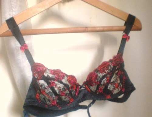 gaemjavi:  My favourite bra