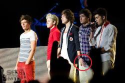 vas-happenin-down-under:  Harry: “I wonder